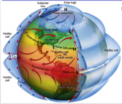 Important Elements: Hadley cell Ferrel cell Polar cell Polar easterlies Polar Front Westerlies Trade winds Doldrums Problems with it : - still too simplistic - As stated, friction is an important factor which means that this model is disrupted by ...