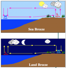 During day, land and ocean heat up differently  

By afternoon, land is warmer than ocean as it has a lower thermal heat capacity 

Warm air rises creating low pressure 

A local pressure gradient sets up and air moves from H to L, resulting in...