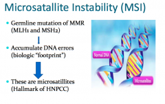 MSI – changes in sizes of repetitive stretches of DNAdue to insertion or deletion of repeated units. 
Mismatch repair genes (MLH1 and MSH2) ‐ germline >somatic.																																							   


90% of HNPCC/Lynch																				...