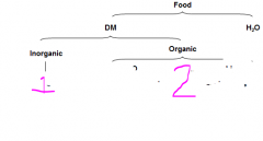 What is contained in the organic and inorganic parts of food?