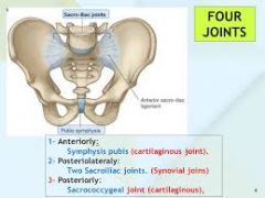 1. Sacroiliac joint- Synovial plane joint2. Scarococcygeal joint- Cartilagenous joint3. Pubic Symphisis- Cartilagenous joint