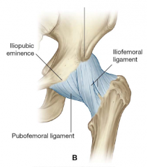 1. Iliofemoral ligament
2. Pubofemoral ligament

They both have a spiral orientation of fibres which allows tightening of the ligament during hip extension, pulling the head of femur back in to the socket