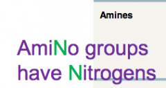 Amino Group  -NH2
