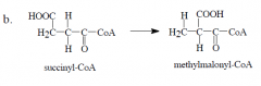 What cofactor is involved in this reaction?