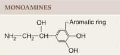 Structural category: Molecules synthesized from an amino acid by removal of the carboxyl group and retaining the single amine group; also called biogenic amines.
histamine, serotonin, catecholamines, dopamine, norepinephrine (noradrenaline), epinephrine 