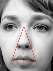 Infections that occur within the danger triangle can spread from one side to another because the veins in the face are valveless