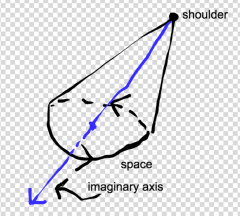 action in which movement of limb produces a cone-like shape; the joint itself is assumed to remain in one point; the distal end of the limb is describing a circle in space