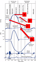 Which point most closely depicts diastolic blood pressure?