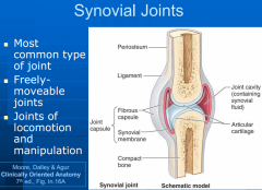 =moveable joints between two or more rigid skeletal components (bone,cartilage)
-articular surfaces covered by articular cartilage within joint cavity containing lubricating synovial fluid, enclosed by joint capsule
-joint can be affected by art...