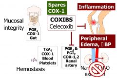 Because COXIBS don't affect COX1 they are great at reducing inflammation while keeping all of the other side effects down. 

However, due to their physiological function in the kidneys, there may still be an increase in peripheral edema and incr...