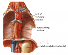 roughly at T12 (abdominal aorta)