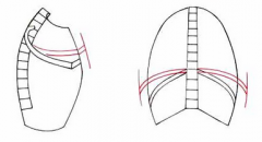 1. Vertical Dimension:
- Movement of diaphragm
2. Anteroposterior Dimension
- Movement of upper ribs
3. Lateral (transverse) Dimension
- Movement of middle ribs