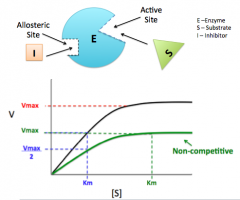 Binds to allosteric site
Vmax changes
Km stays the same