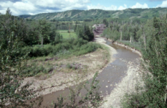 rivers flow through their own deposits
typically wide lowland channels