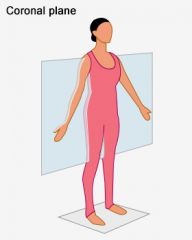 is parallel to the longitudinal axis of the body and divides the body into anterior and posters sections