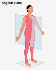 is also parallel to the longitudinal axis of the body that divides the body into right and left sections.