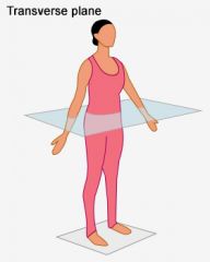 is at a right angle to the long axis of the body and divides the body into superior and inferior sections.  The sections are called transverse sections or CROSS SECTIONS