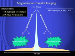 Mag Transfer
Maximize Difference Between Normal Brain and Plaques