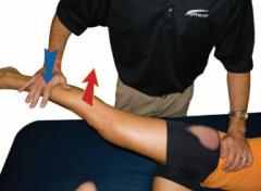 What is the joint movements and muscle group  being tested?