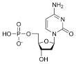 2'-deoxycytidine 5'-monophosphate