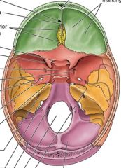 










Anterior cranial fossa

1.Foramen cecum

2. Frontal crest &sulcus of sup.
sagittal sinus

3.Cribriform plate/lamina cribrosa:  4. Ant.+post.
ethmoidal foramina: ant.+post. ethmoidal nerves & vessels 

5. Lesser wi...