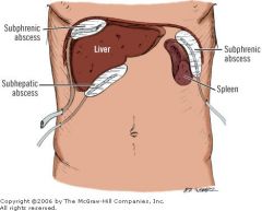 under the liver

its inferior limit is the transverse mesocolon