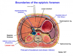 what makes up the anteriorn posterior, superior and inferior margins of epiplpoic foramen 