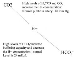*Note normal PCO2 level.
*Note normal bicarb level.