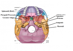 Sqaumous part is the top portion of the tempral region. 

Tempanic is near the ear

Mastoid part is at the mastoid process

Petrous is inferior portion of the Temporal bone. 