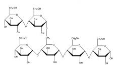 If the polysaccharide pictured above is from animals and is highly branched, it would be called ____________
