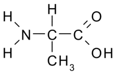This amino acid is
a. polar
b. non-polar
c. acidic
d. basic
