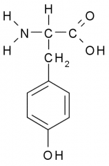 This amino acid is
a. polar
b. non-polar
c. acidic
d. basic