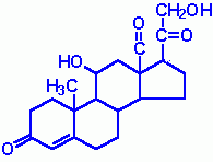 What type of molecule is this?
