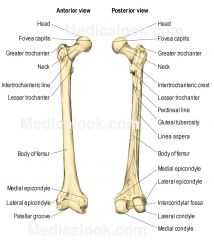 EXS 260 Exam 1 Flashcards - Cram.com