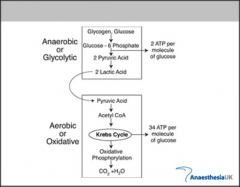 Lactic acidosis develops with anaerobic metabolism.