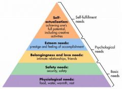 Maslow looked at what motivates people, and developed a hierarchy of needs.  The bottom levels must be met before higher levels can be considered or addressed by an individual.