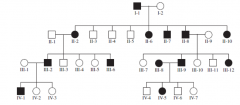 Which of the following patterns is/are consistent with this pedigree?Select one:

a. X-linked recessive only
 b. Autosomal dominant only 
c. Autosomal dominant and autosomal recessive 
d. Autosomal recessive only