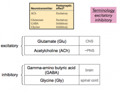 CNS = brain and spinal cord; PNS = other
GABA = brain; glycine = spinal cord

- make sure you know what excitatory and inhibitory mean based on the properties of the channel