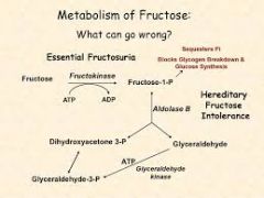 -Fructokinase deficiency
