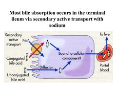 Primary recovery is through active and passive absorption in the TERMINAL ILEUM. Once they are absorbed into the cell, they diffuse into the portal blood and return to the liver. The liver extracts the bile acids in one pass, and reconjugates the 2' bile 