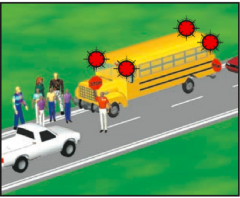 What should you do if a school bus flashes red lights? What's the punishment otherwise?