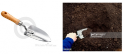 Small shovel used for diggingholes for planting bedding plants or vegetables