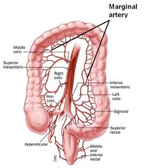 IMA ,Middle colic, left colic, sigmoid arteries and superior sigmoid. they sypply transverse colon 