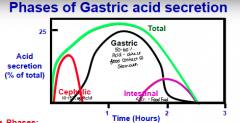 1. Cephalic 


2. Gastric


3. Intestinal 