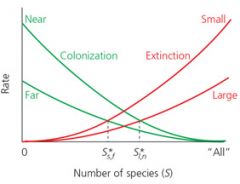 The rate of extinction increases as...