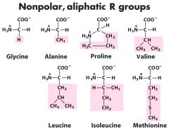 Glycine
Alanine (CH3)
Proline
Valine (3 methyl groups)
Leucine (secondary butyl group)
Isoleucine
Methionine