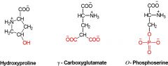 1. Hydroxyproline


2. ɤ - Carboxyglutamate


3. O-Phosphoserine