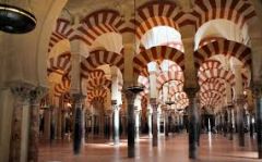 #56
Great Mosque/ Great Mosque Plan
-Cordoba, Spain/ Umayyad
-c.785-786
 
Content:
- mosque built around a Christian church
- giant mosque
- elements borrowed from roman architecture and hypostyle hall
- open space
- columns
- red and white stripe...