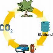 bioethanol