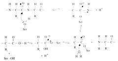 1. Hydrolysis of peptide bond


2. Hydrolysis of bond with serine protease, releasing the enzyme.


 


Enzymes must always be released--not used up during reaction.